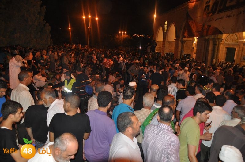 lud trawer7 aqsa 805 (9).JPG